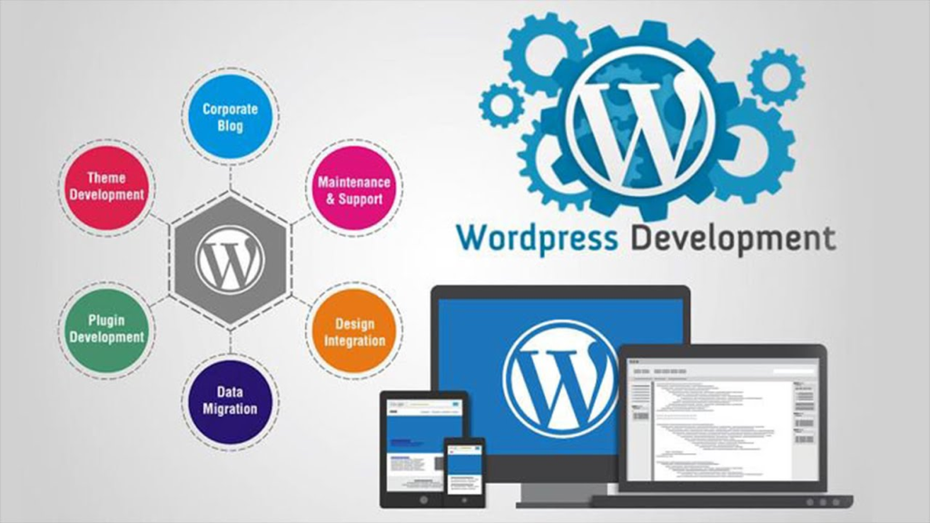 image 10 Custom Website Development